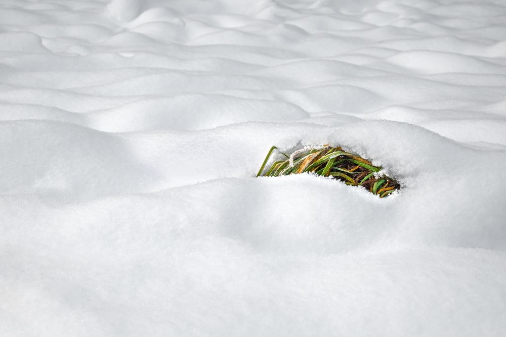 Photograph by Kveta Novotna