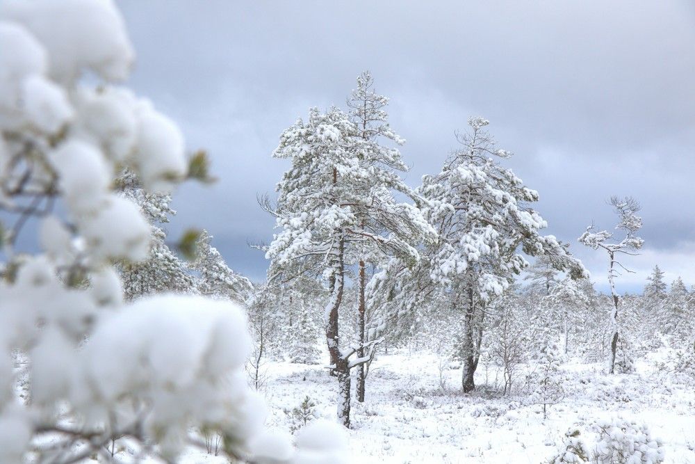 Photograph by irina volkova