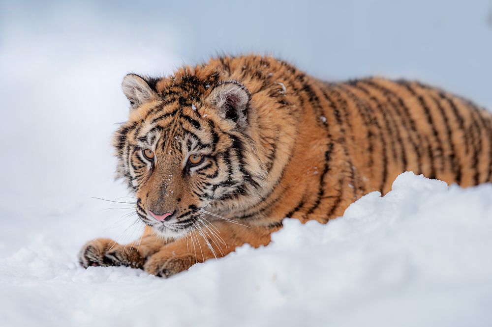 Photograph by Ольга Луканенкова