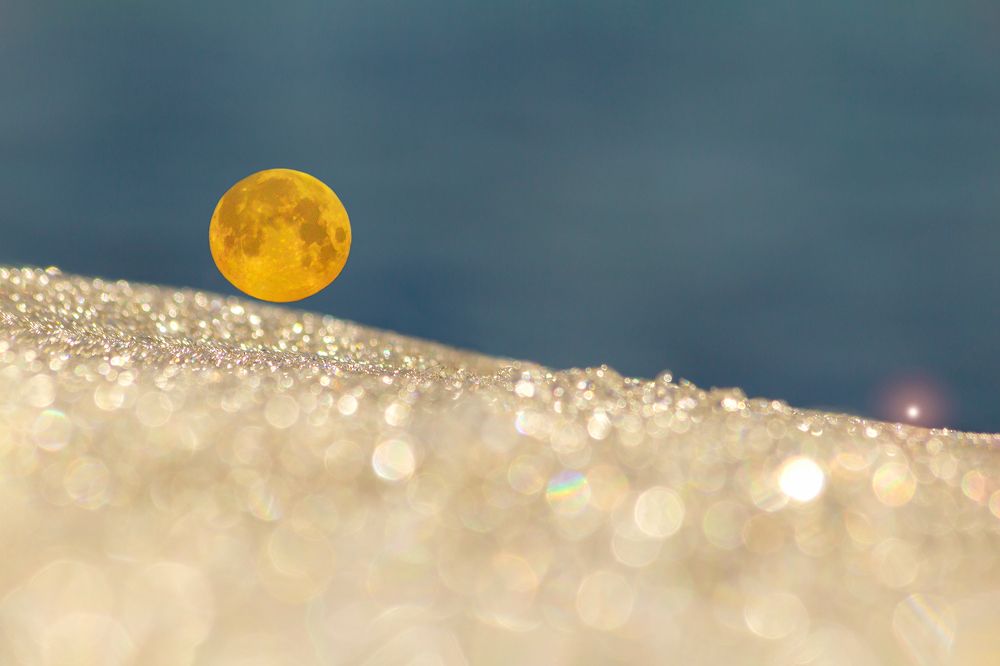 Photograph by Koledova Irina