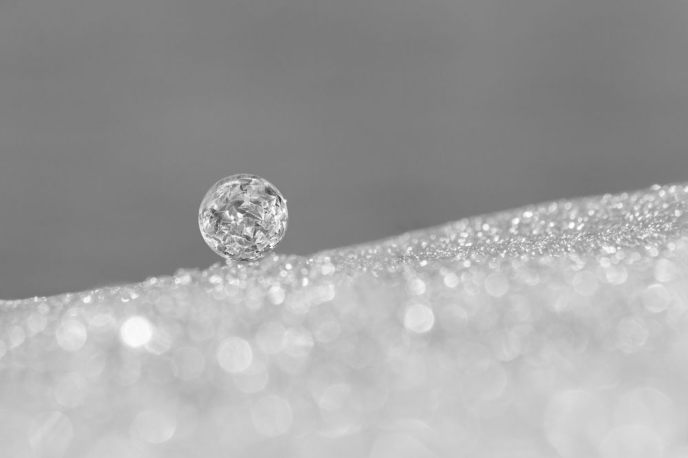 Photograph by Koledova Irina