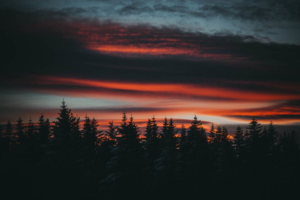 Photograph by Александр Салякаев