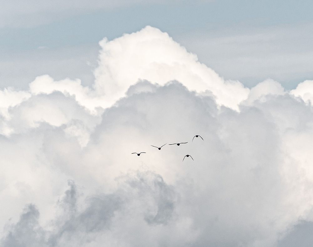 Фотография автора Alex Korchanov