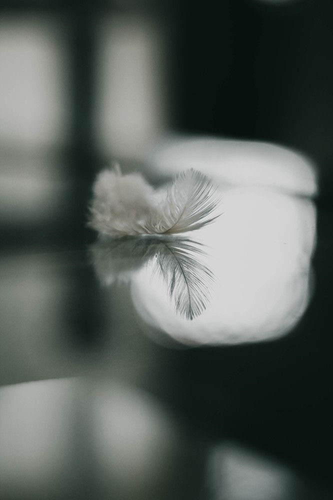 Photograph by Sineth Chanthula Weerasingha