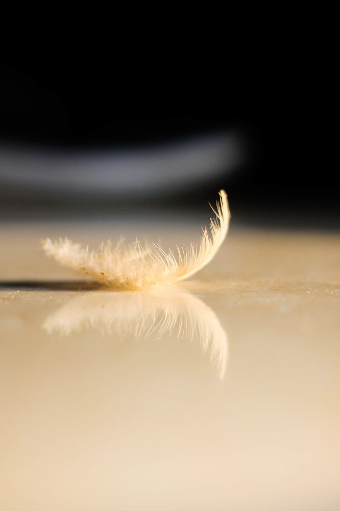 Photograph by Sineth Chanthula Weerasingha