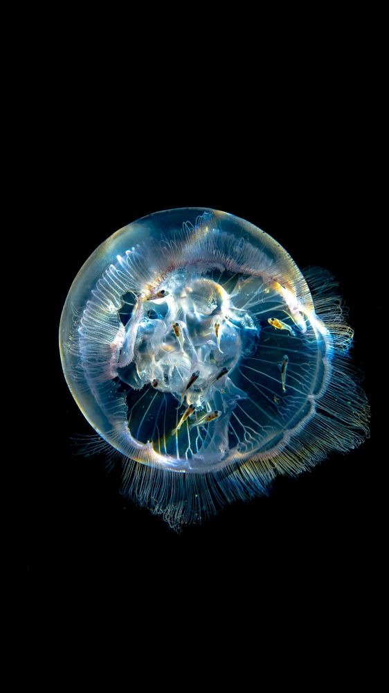 Фотография автора Sebastian Arango