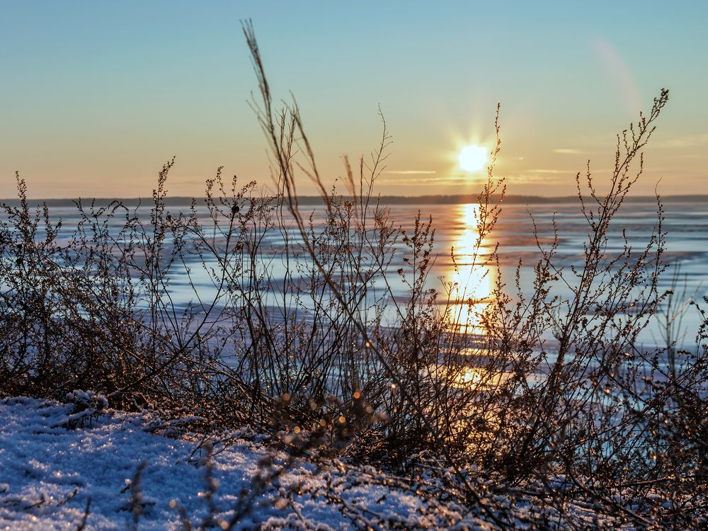 Photograph by Николай Шаповалов
