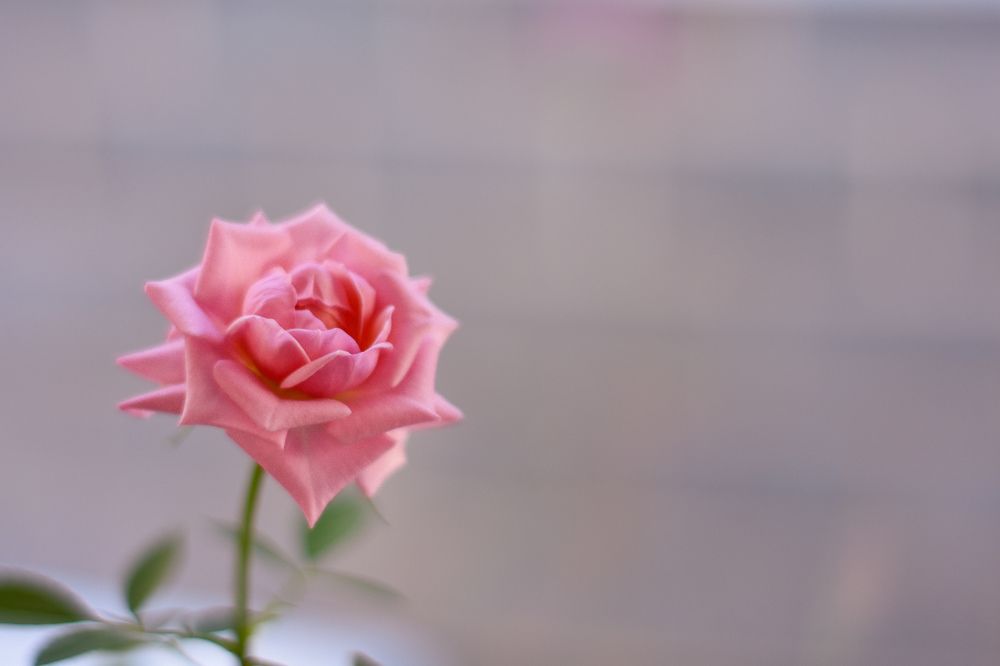 Photograph by Валентина Воробьёва