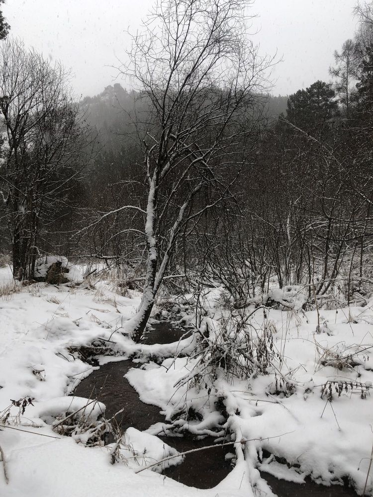 Фотография автора Светлана Гончарова