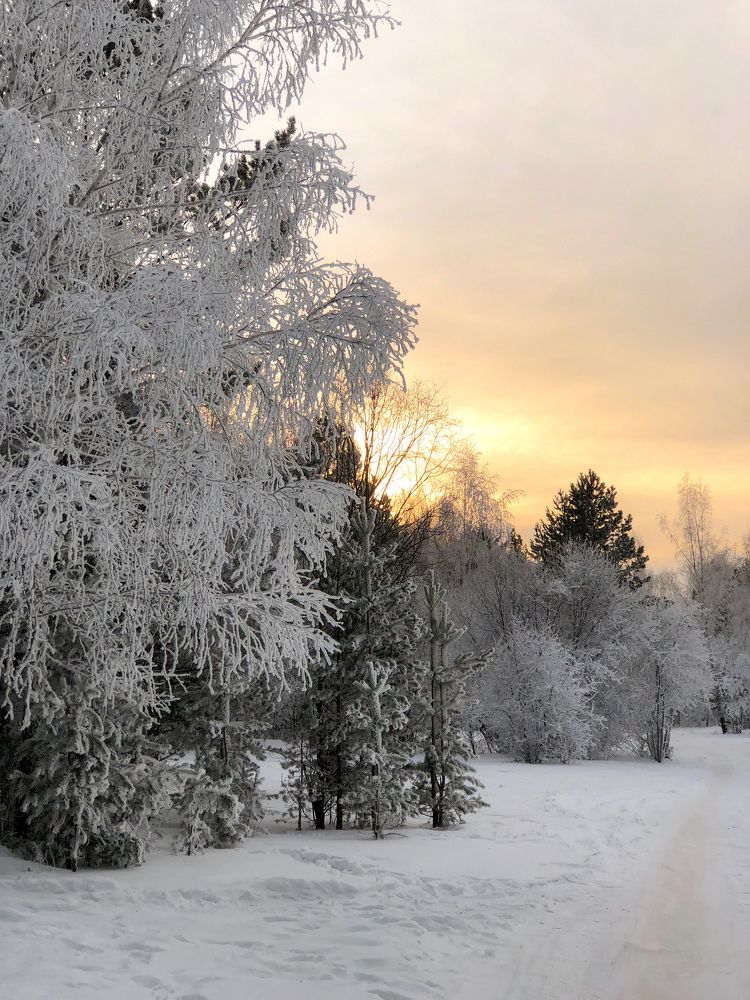 Фотография автора Светлана Гончарова