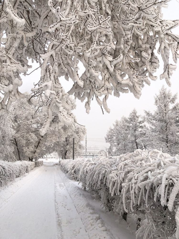 Фотография автора Светлана Гончарова
