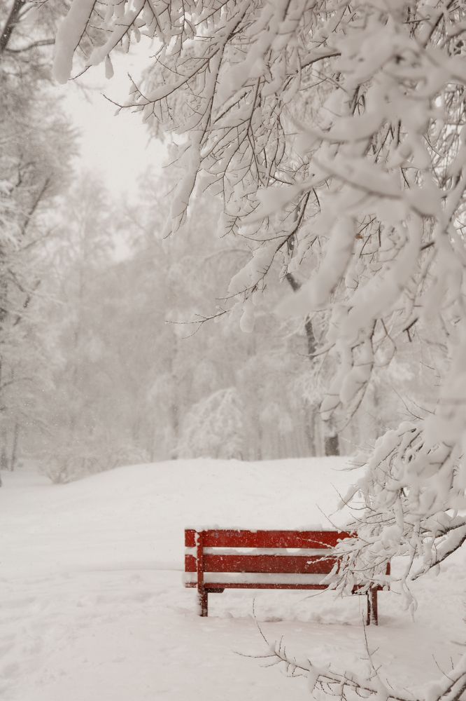 Photograph by Юлия Зозуля