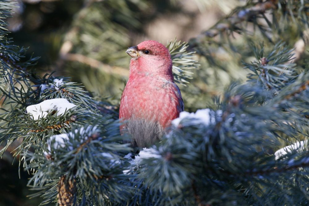 Photograph by Наталья Турчик