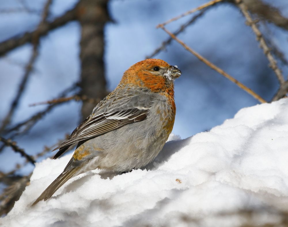 Photograph by Наталья Турчик