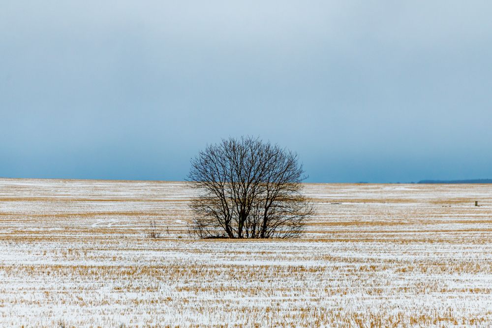 Photograph by Елена Ефимова