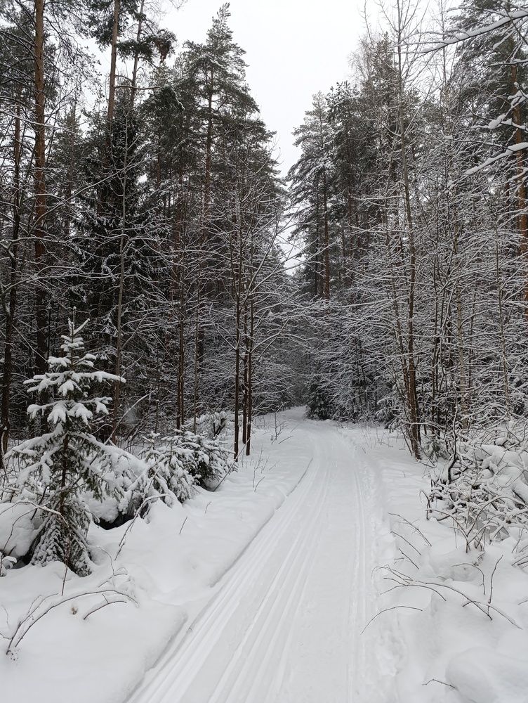 Photograph by Любовь Иванова