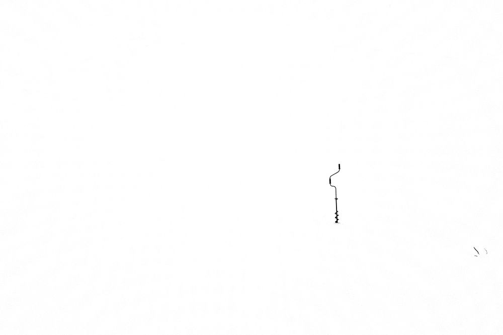 Photograph by Alexandr