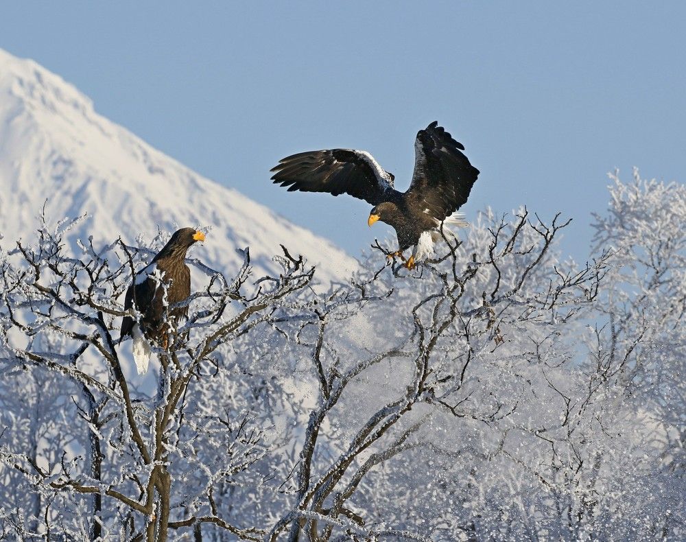 Photograph by Наталья Турчик