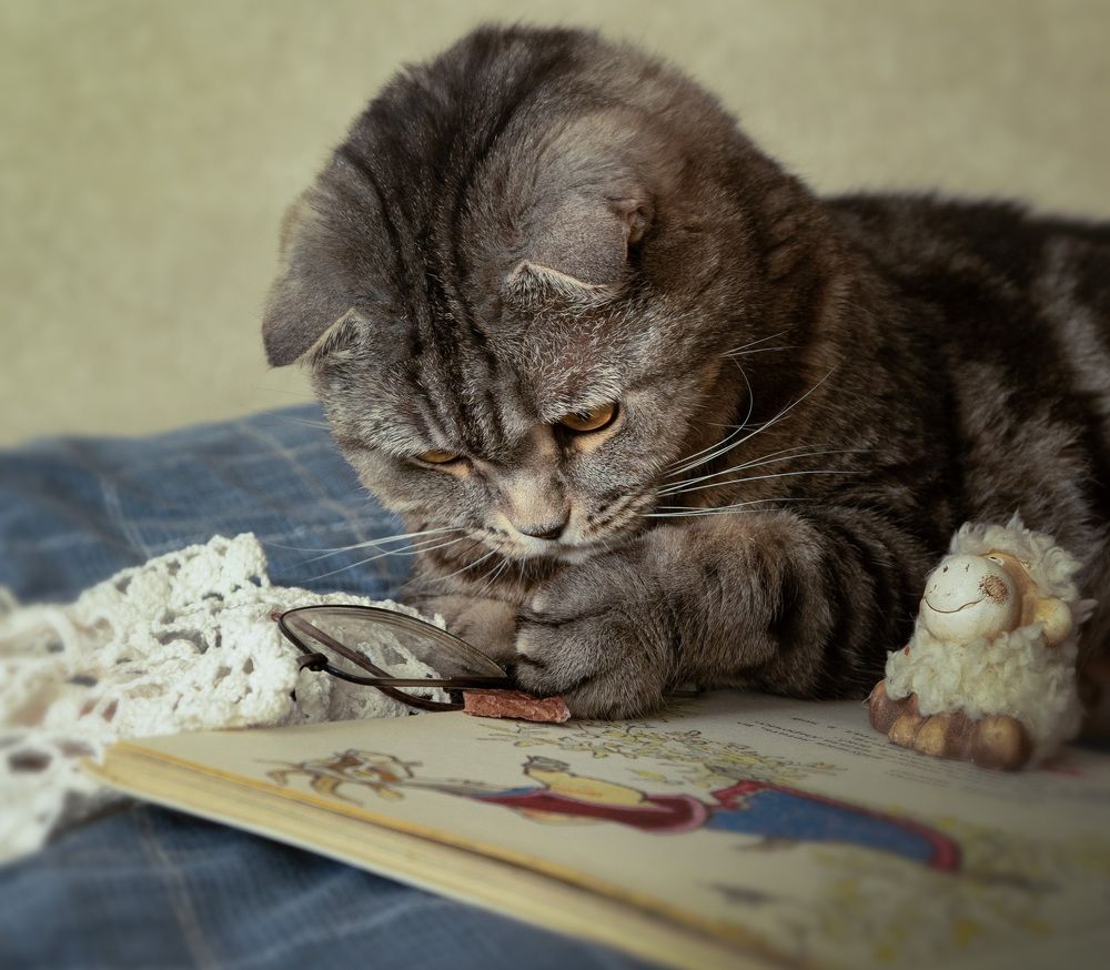 Photograph by Наталья Кирина