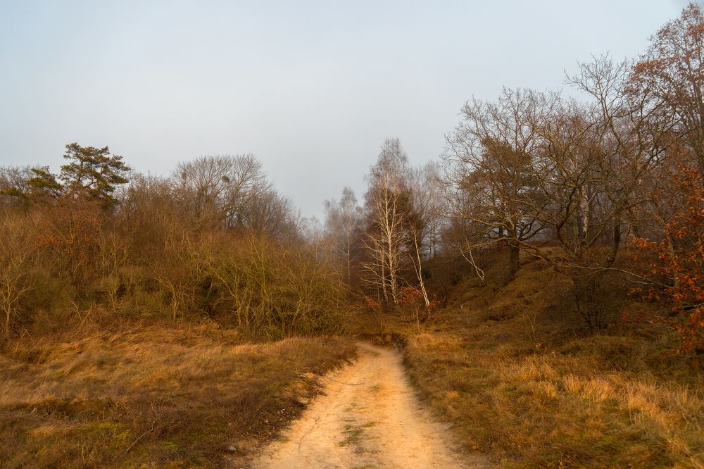 Фотография автора Svirin Vadim