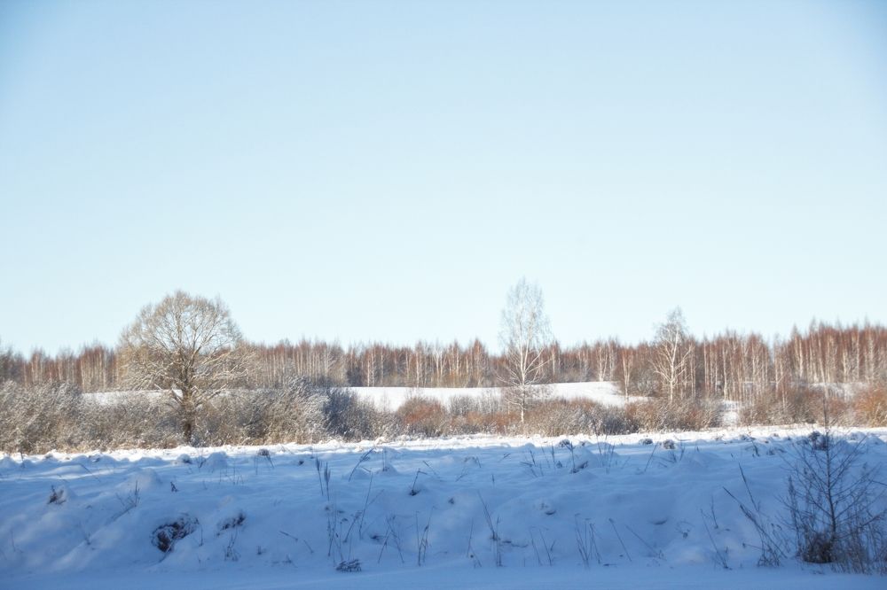 Photograph by Юлия Журавлева