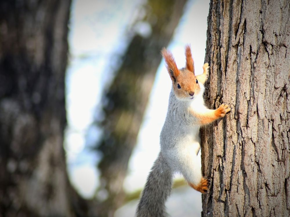Фотография автора Андрей Павловский