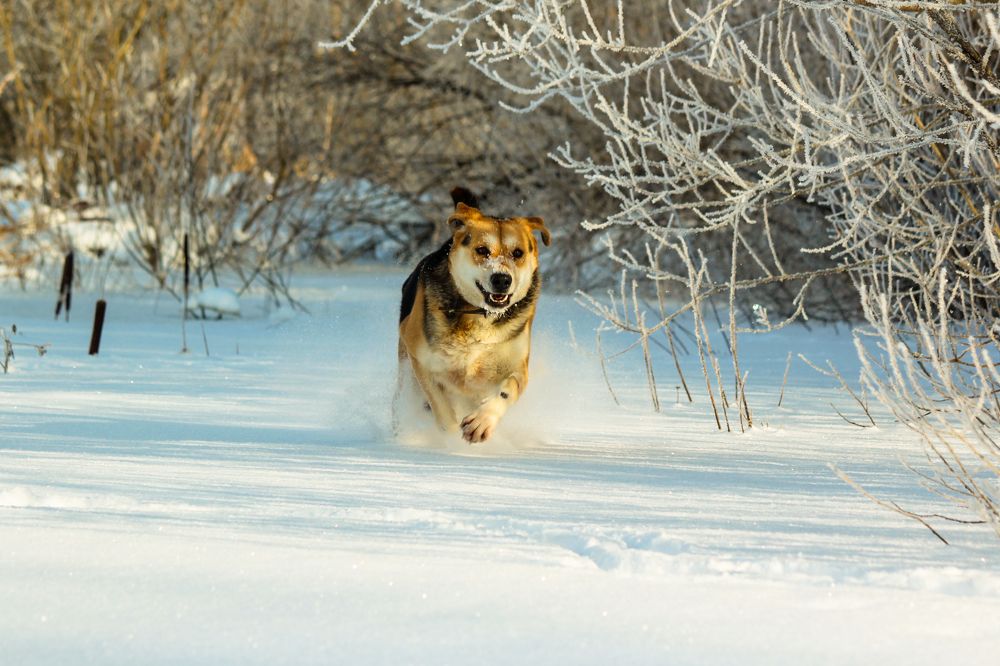 Photograph by Елена Верховская