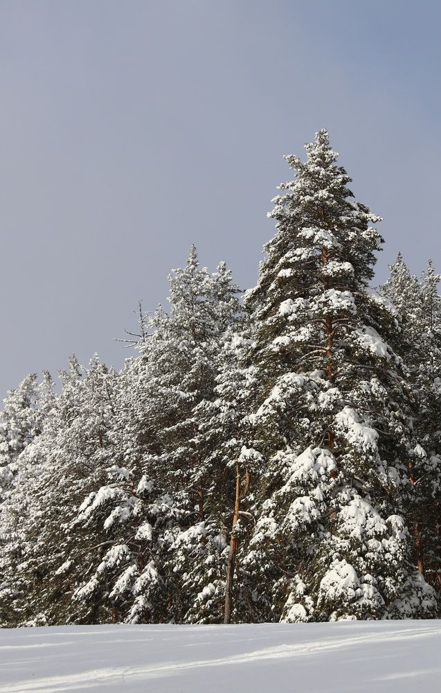 Photograph by Константин Абаимов