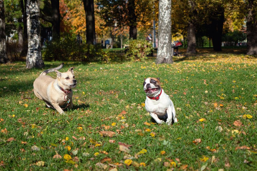 Photograph by Роман Гладкий