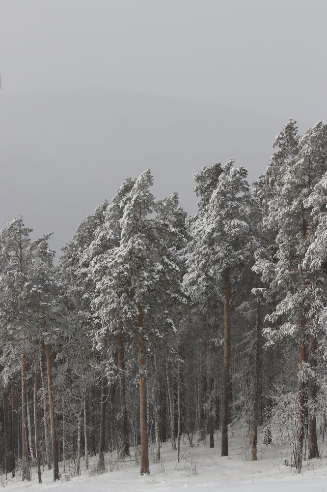 Photograph by Константин Абаимов