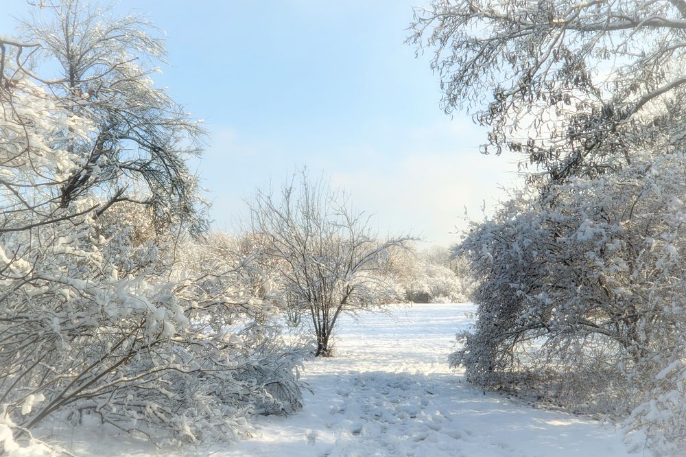 Фотография автора Андрей Павловский