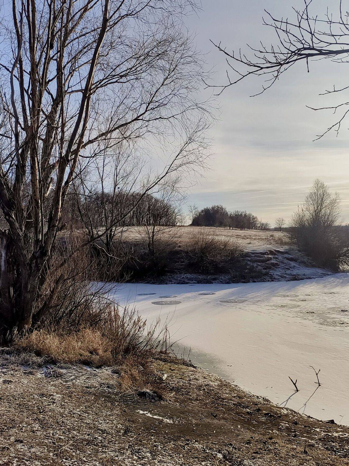 Photo #11696072