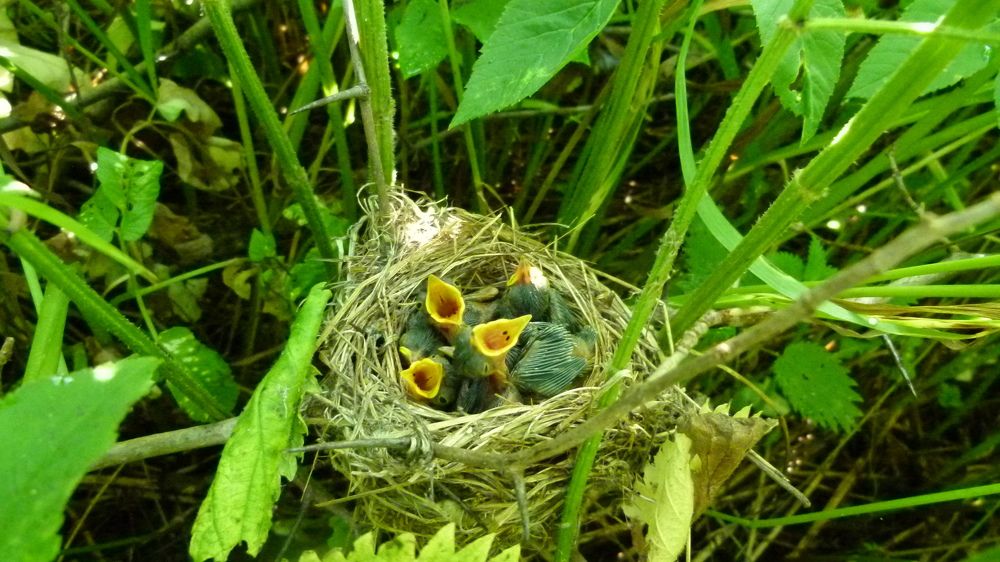 Photograph by Егор Чинарев