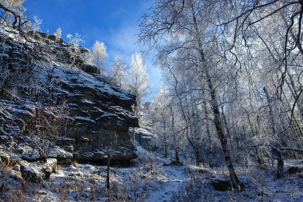 Photograph by Татьяна Галаева