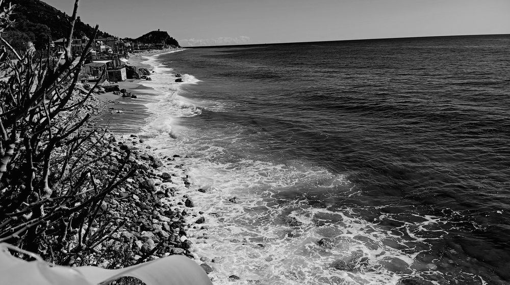 Photo #11696141