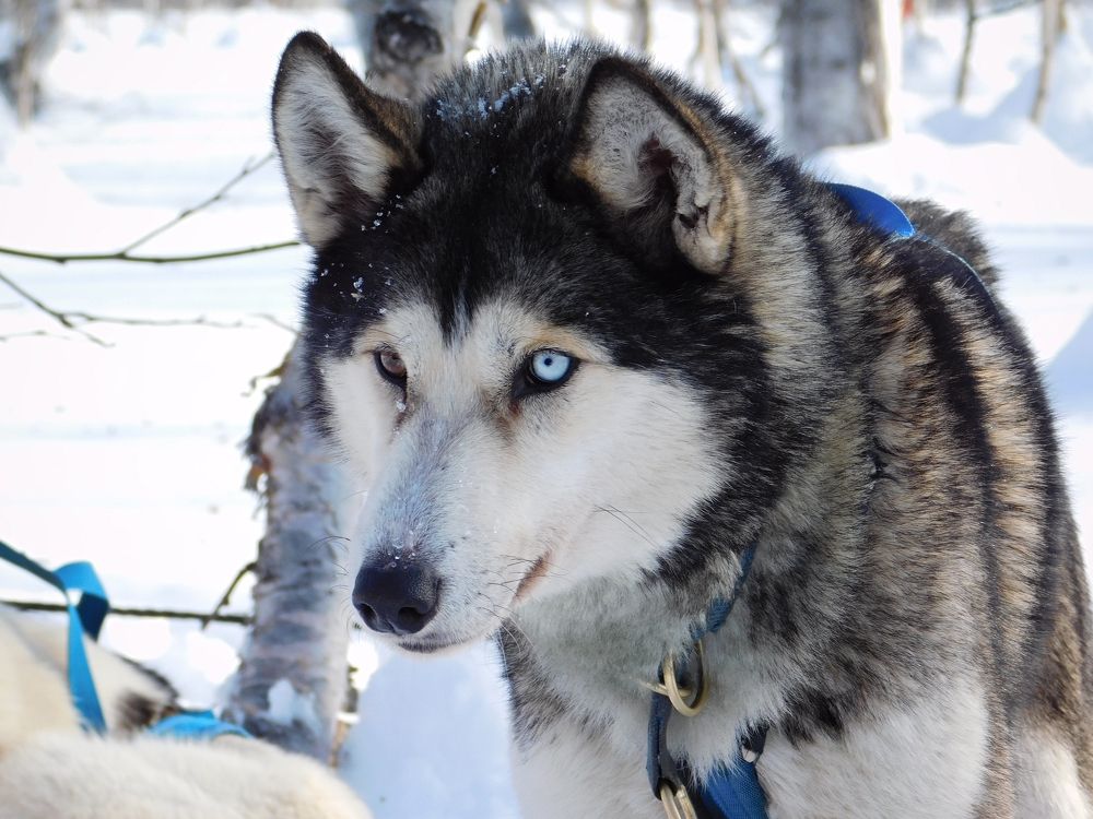 Photograph by Любовь Короткина