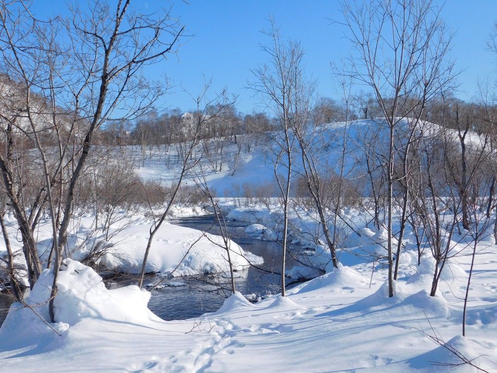 Photograph by Любовь Короткина