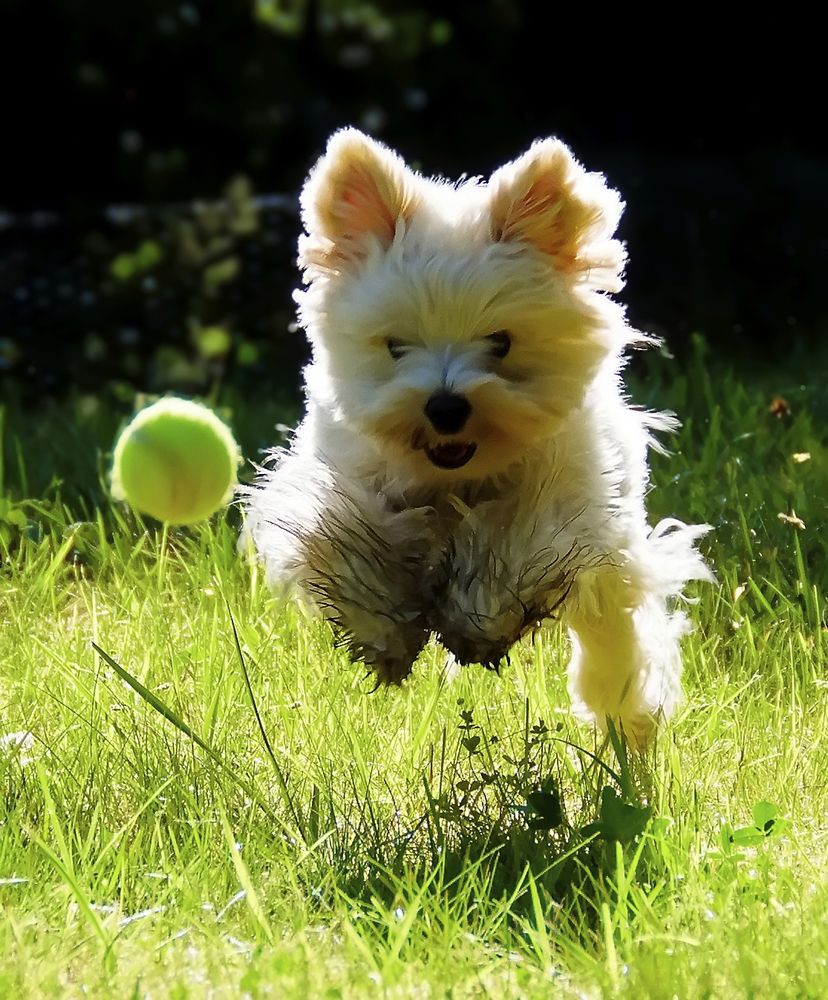 Photograph by Александр Беляев