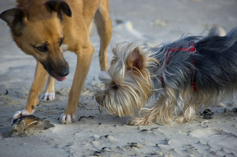 Photograph by Александр Беляев