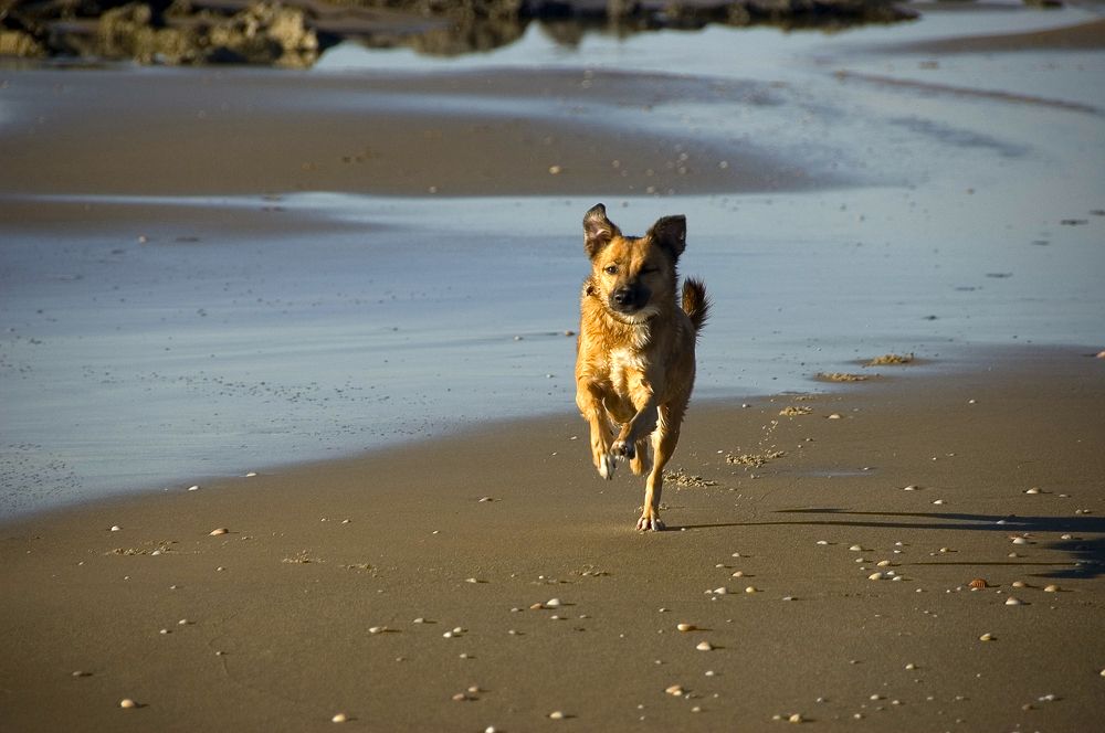 Photograph by Александр Беляев