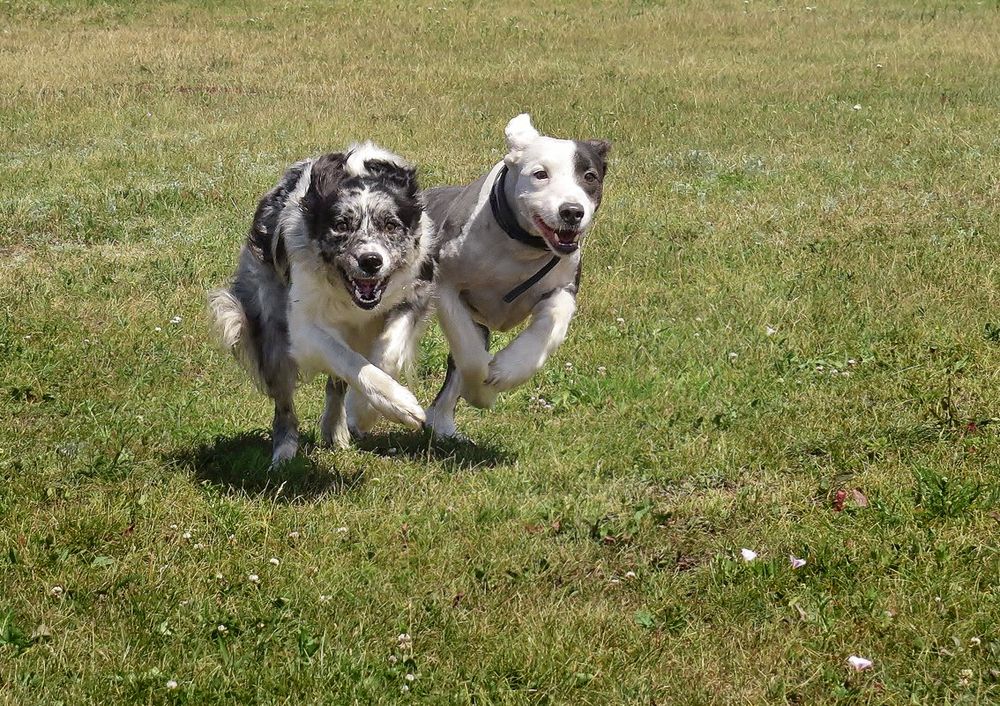 Photograph by Сергей Степанов