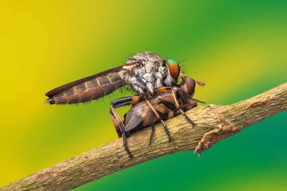 Photograph by Nicholas Ng