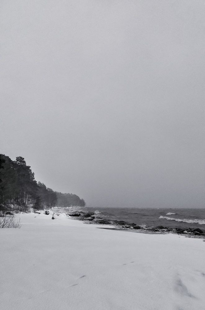 Photograph by Ольга Терскова