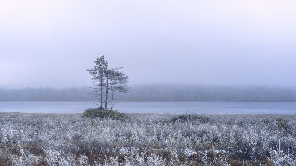 Любовь к жизни