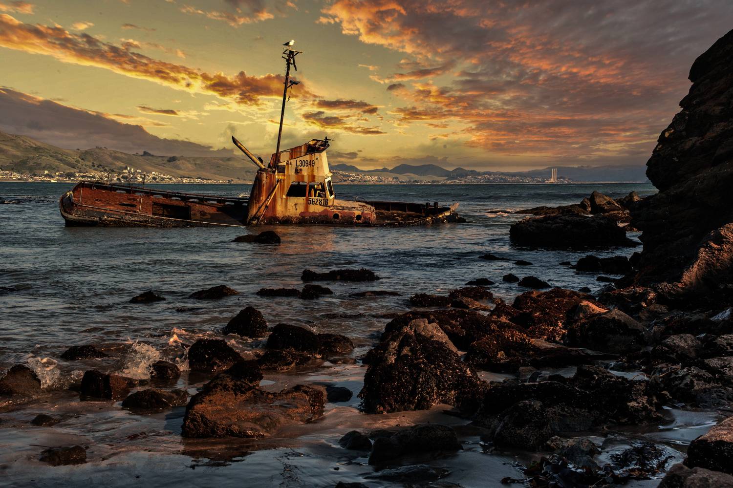 Фотография #11696408