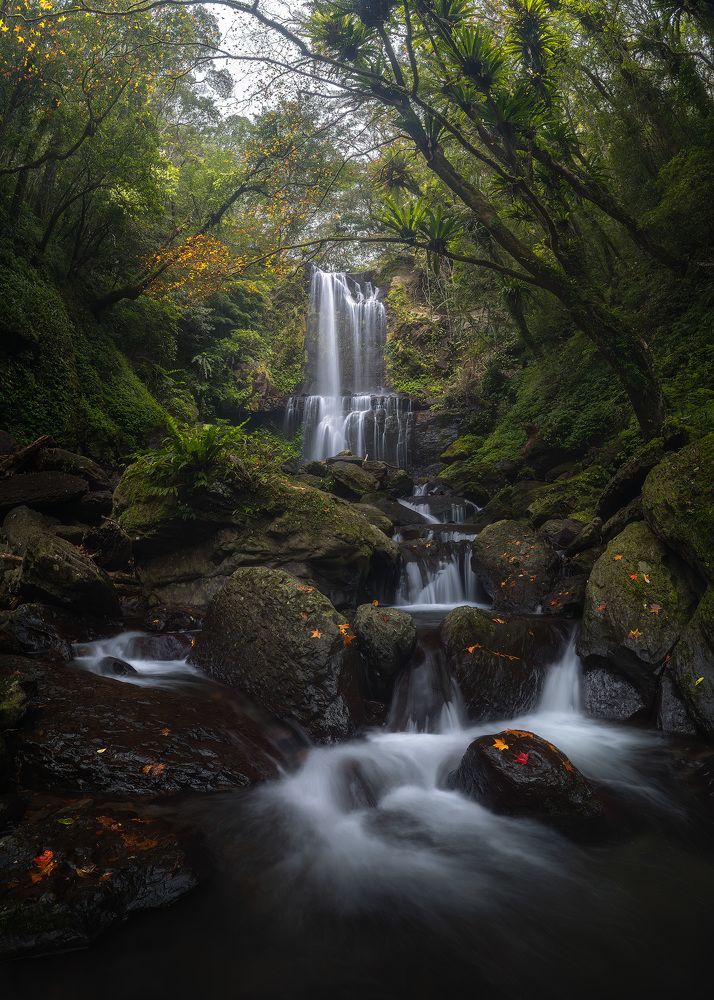 Photograph by YI-HSUN CHOU