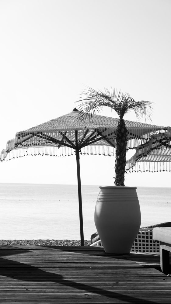 Photograph by Alp Aysgl