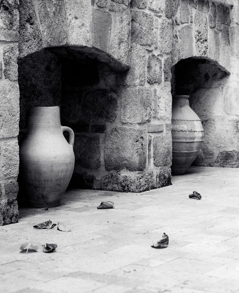 Photograph by Alp Aysgl