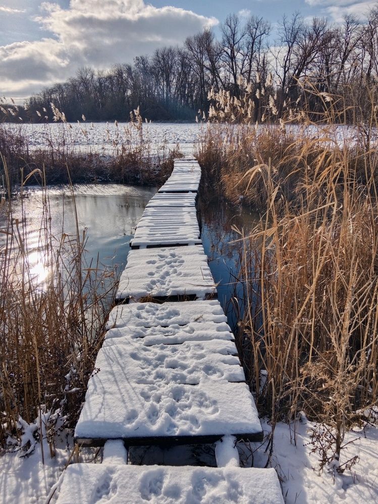 Заснеженный мостик
