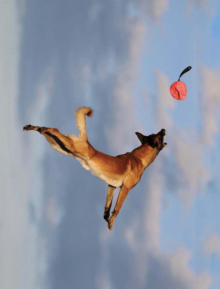 Photograph by Маргарита Шалак